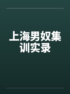上海男奴集训实录