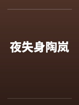 夜失身陶岚